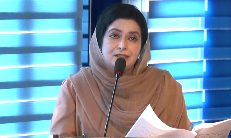 Govt working to identify gaps in health sector: Zubaida Rahman