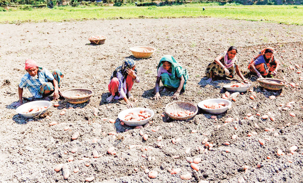 Gene Banks Are Essential for Biodiversity Conservation and Food Security