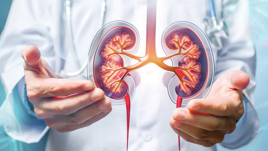 Bangladesh Begins Training 5,000 Health Workers for Nationwide Dialysis Service Expansion