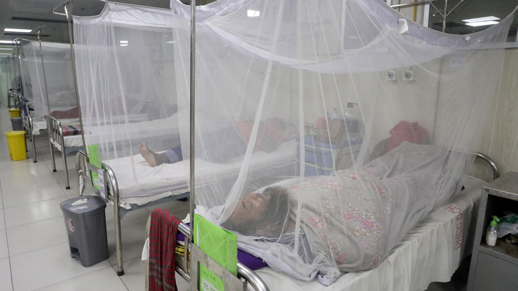 9 die of dengue, 1954 hospitalized in 24 Hours