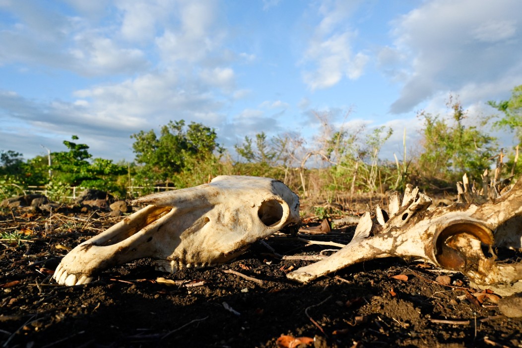 Super El Niño: Will 450,000 Really Die, and Which Countries Are Most at Risk?